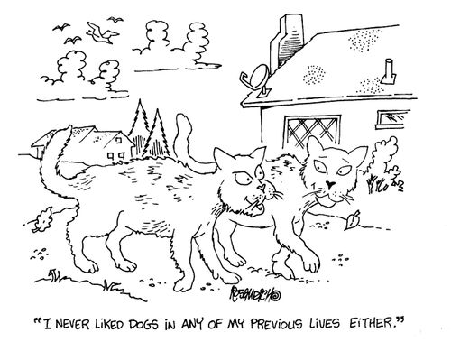 "I never liked dogs in any of my previous lives either."