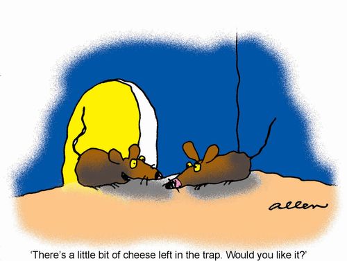 'There's a little bit of cheese left in the trap. Would you like it?'