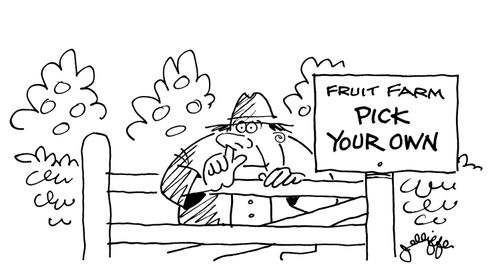 Fruit Farm - Pick Your Own (Man picking his nose).