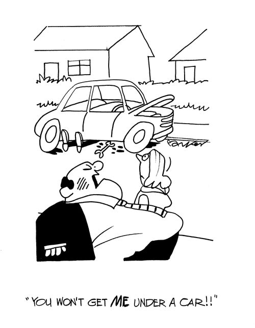'You won't get ME under a car!'