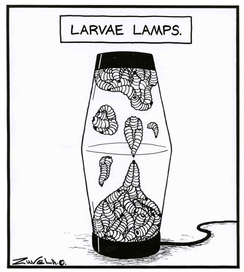 Larvae Lamps.