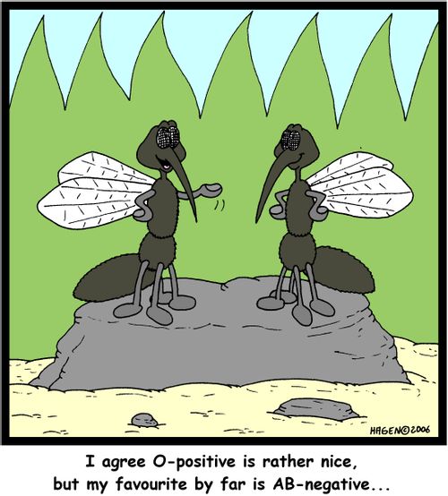 'I agree O-positive is rather nice, but my favourite by far is AB-negative...'