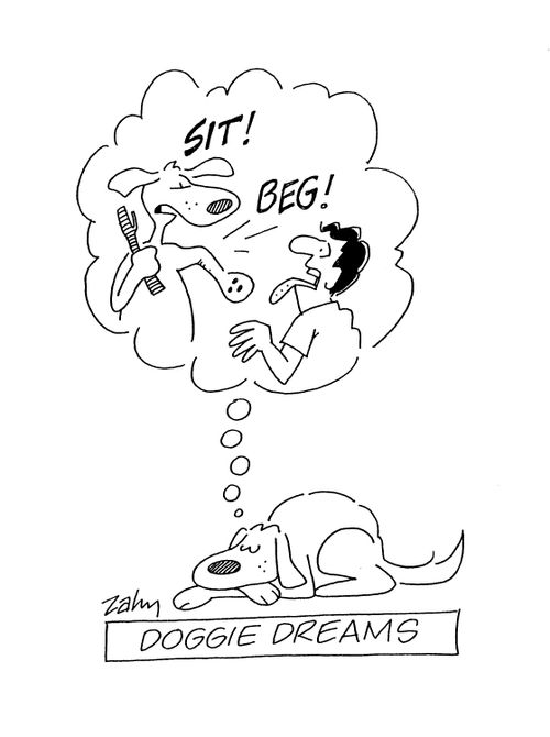 DOGGIE DREAMS
