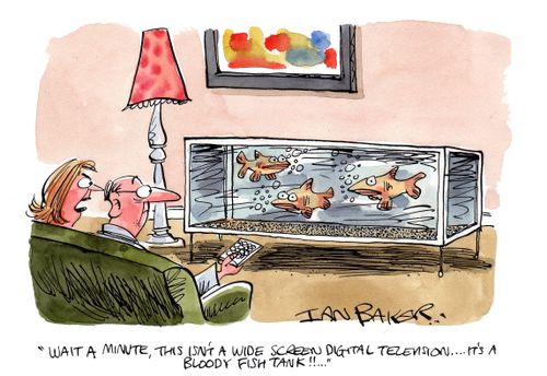 'Wait a minute, this isn't a wide screen digital television....it's a bloody fish tank!'