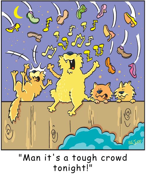 'Man it's a tough crowd tonight!'