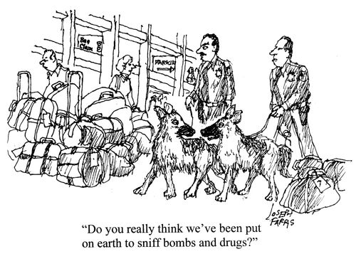 'Do you really think we've been put on earth to sniff bombs and drugs?'