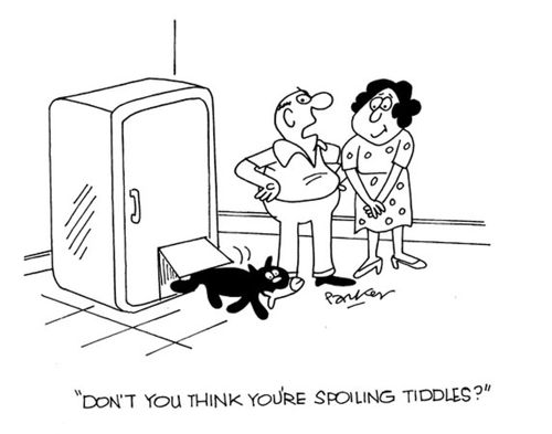 'Don't you think you're spoiling Tiddles?'