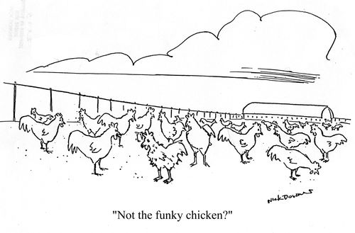 'Not the funky chicken?'