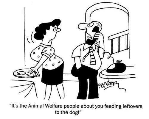 'It's the Animal Welfare people about you feeding leftovers to the dog!'