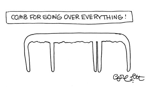 Comb for going over everything!