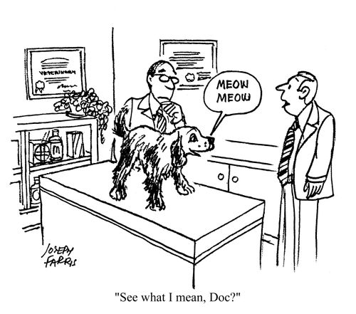 'See what I mean, Doc?'