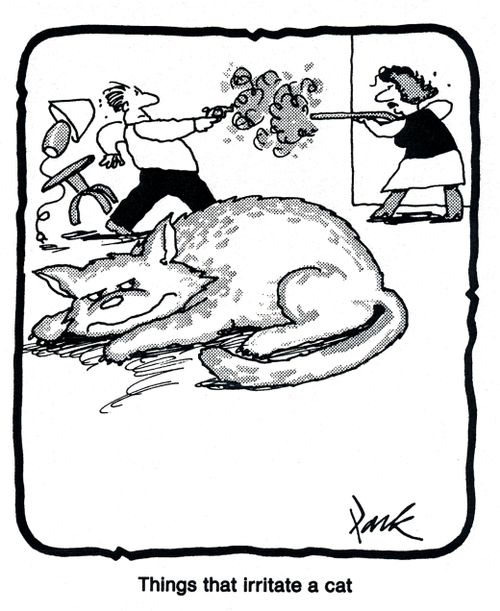 Things that irritate a cat.