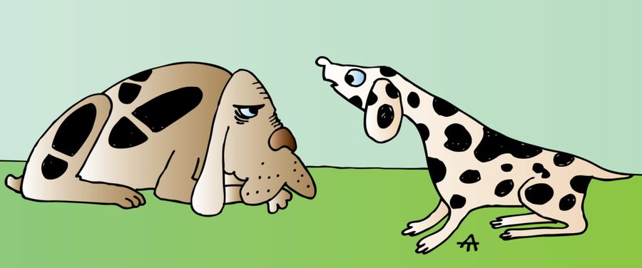 Underdog