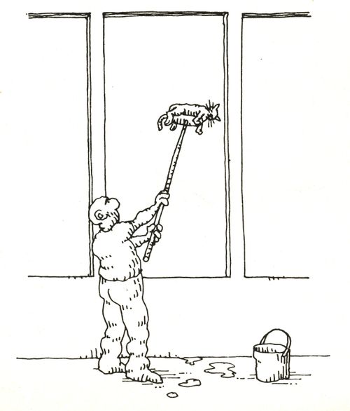 101 uses of a dead cat: window cleaning brush.