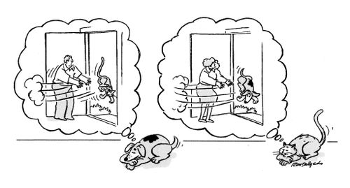 Dreaming pets.