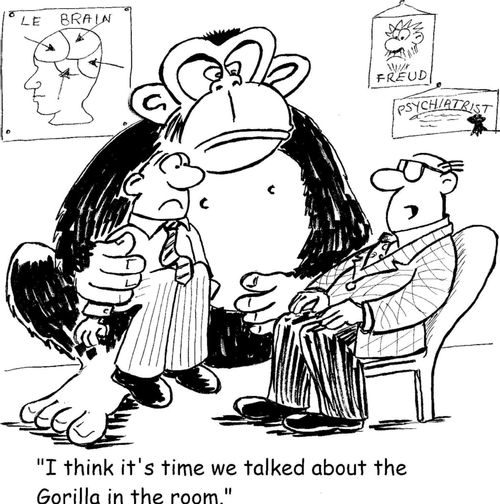 'I think it's time we talked about the gorilla in the room.'