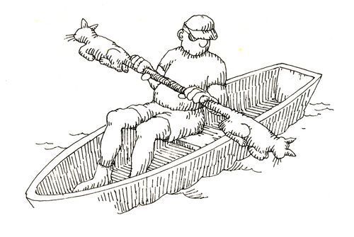 101 uses of a dead cat: paddle