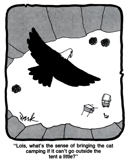 'Lois, what's the sense of bringing the cat camping if it can't go outside the tent a little?'