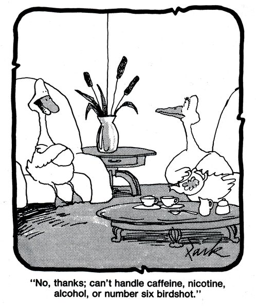 'No thanks; can't handle caffeine, nicotine, alcohol, or number six birdshot.'