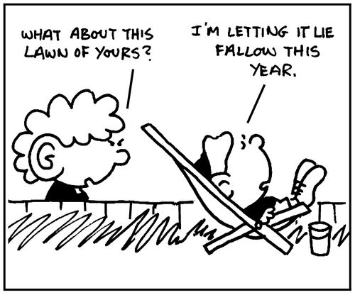 'I'm letting it lie fallow this year.'