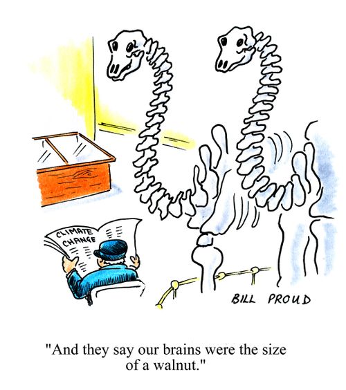 'And they say our brains were the size of a walnut.'
