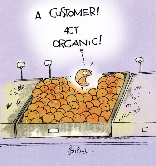 Organic fruit.