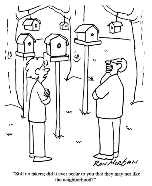'Still no takers, did it ever occur to you that they may not like the neighbourhood?'