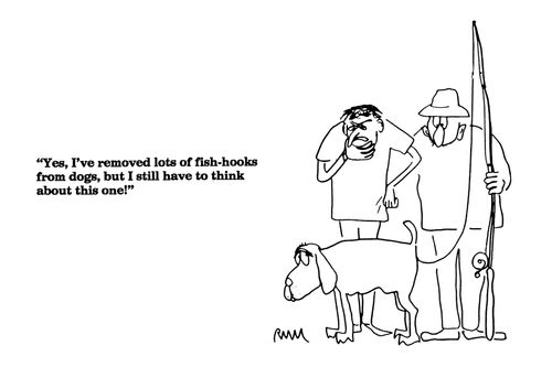 'Yes, I've removed lots of fish-hooks from dogs...'