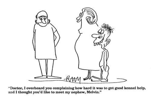 'Doctor, I overheard you complaining how hard it was to get good kennel help...'
