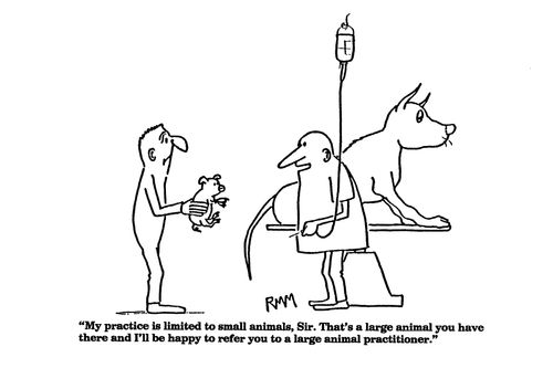 'My practice is limited to small animals, Sir....'