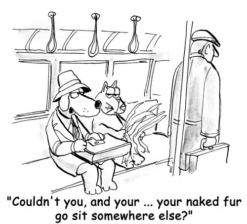 'Couldn't you, and your ... your naked fur go sit somewhere else?'