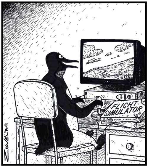 Flight Simulator / a Penguin using a flight simulator to experience flying.