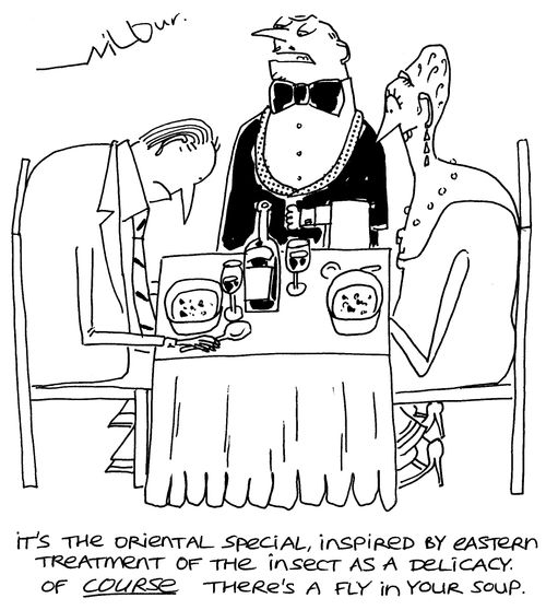 'It's the oriental special, inspired by eastern treatment of the insect as a delicacy. Of course there's a fly in your soup.'