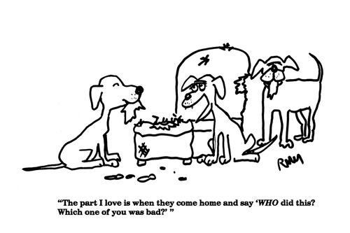 'The part I love is when they come home and say 'WHO did this?. . .'