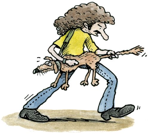 Rock musician playing a dog as a guitar