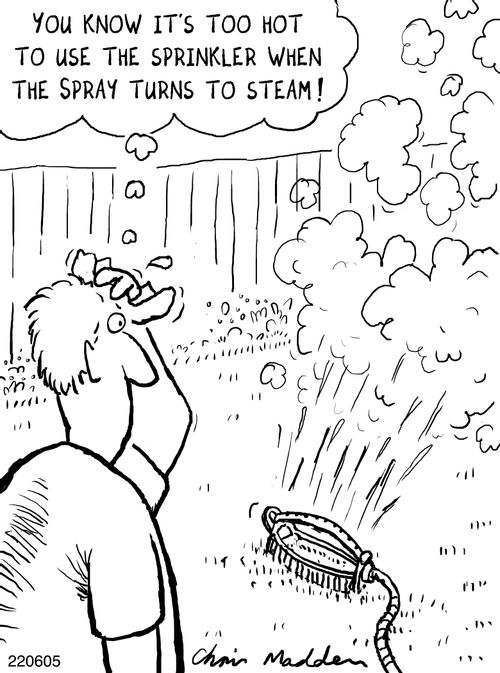 'You know it's too hot to use the sprinkler when the spray turns to steam.'