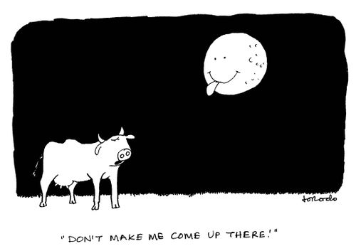 'Don't make me come up there!'