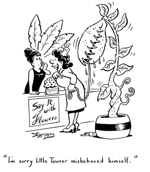 'I'm sorry my little Towser misbehaved himself.'
