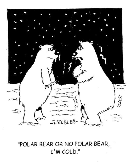 'Polar bear or no polar bear, I'm cold.'