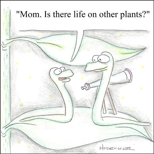 'Mom. Is there life on other plants?'