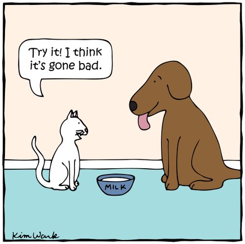 'Try it! I think it's gone bad.'