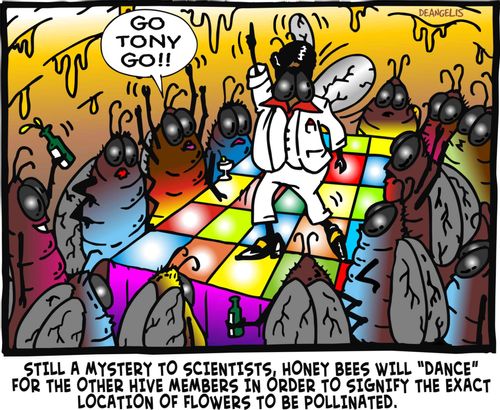 Still a mystery to scientists, honey bees will 'dance' for the other hive members in order to signify the exact location of flowers to be pollinated.