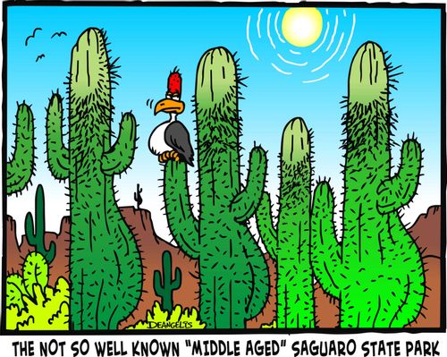 The not so well known 'middle aged' Saguaro state park.