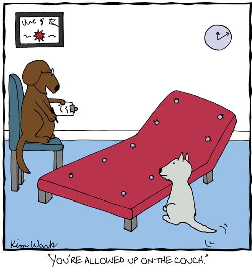 'You're allowed up on the couch.'
