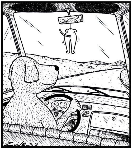 A dog has a dog butt air freshener.