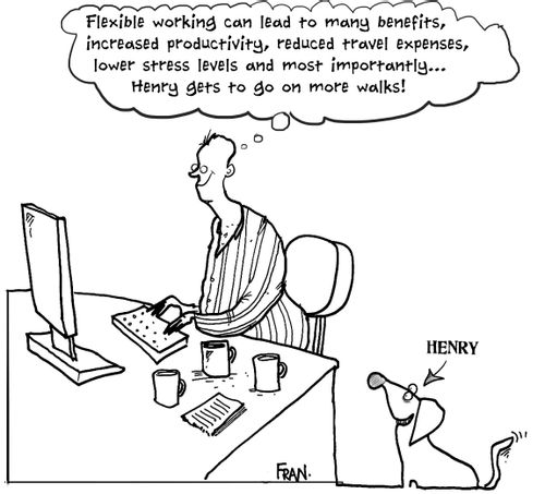 'Flexible working can lead to many benefits, increased productivity, reduced travel expenses, lower stress levels and most importantly...Henry gets to go on more walks.'