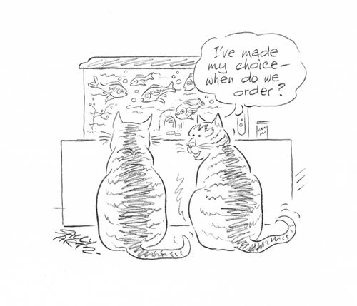 'I've made my choice - when do we order?'