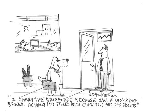 'I carry the briefcase because I'm a working breed. Actually it's filled with chew toys and dog biscuits.'
