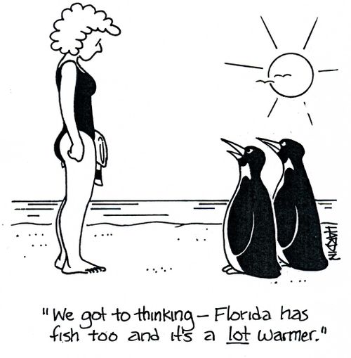 'We got to thinking - Florida has fish too and it's a lot warmer.'