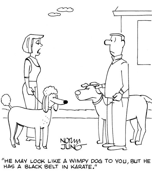 'He may look like a wimpy dog to you, but he has a black belt in karate.'